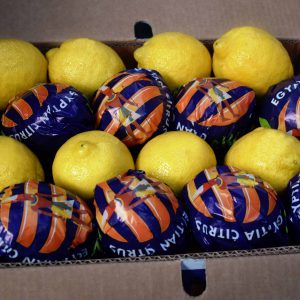 Import Lemons-Adalia - Intrade