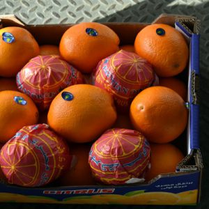 Import Oranges - Intrade