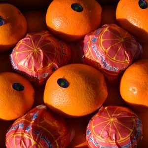 Import Oranges - Intrade