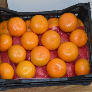 Import Mandarins - Intrade