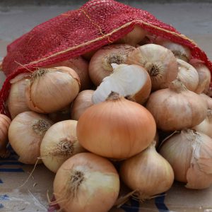 Import White Onions Cut - Intrade