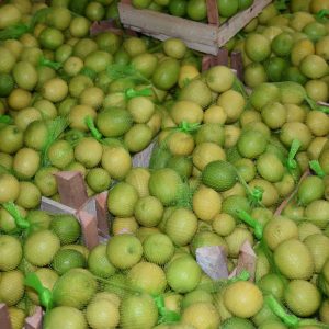 Import Benzahir Limes Packed - Intrade