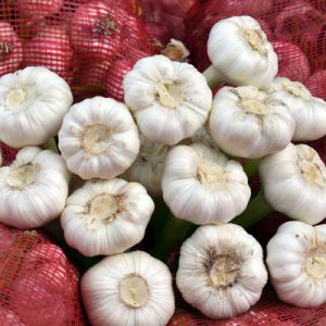 Import Garlic - Intrade